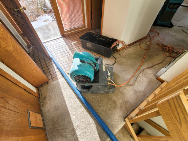 Local water damage restoration in VA