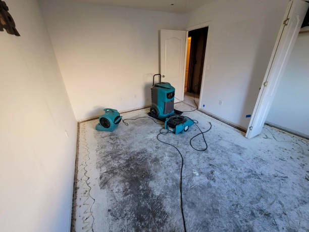  Woodstock, VA Water damage restoration Pros