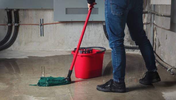 Best Carpet water damage restoration  in Woodstock, VA