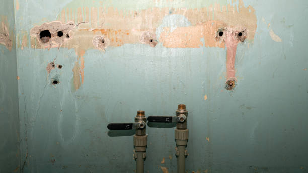 Best Water damage cleanup near me  in Woodstock, VA