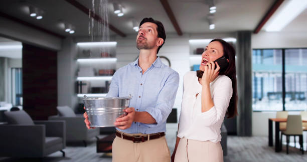 Best Flood damage cleanup  in Woodstock, VA
