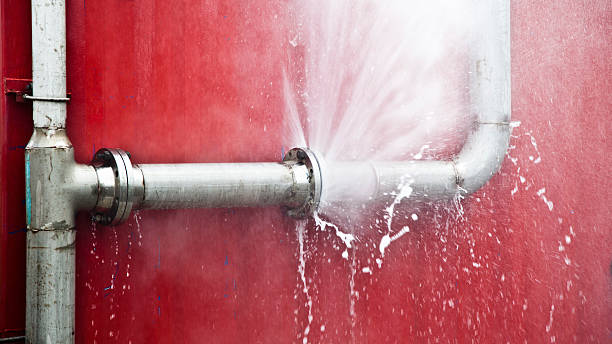 Best Flooded house restoration  in Woodstock, VA